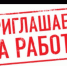 Мигранты едут в Архангельскую область за работой - Северная неделя