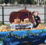 1242_d1093-m - Северный рабочий