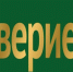«Доверие» - лучшее НКО региона - Администрация г. Северодвинска