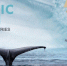 Фильмы «Arctic open» покажут в Северодвинске - Администрация г. Северодвинска