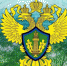 За лесами и древесиной будут надзирать с помощью онлайн-системы - Администрация г. Северодвинска