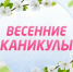 Каникулы – время творчества и книг - Администрация г. Северодвинска
