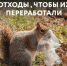 РЭО подготовил наглядные пособия для экологических просветительских и образовательных мероприятий - Администрация г. Северодвинска