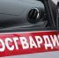 Воровку, объявленную в федеральный розыск, задержали няндомские росгвардейцы - КлубСМИ