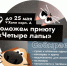 Старт благотворительного сбора для приюта «Четыре лапы» - Северодвинский филиал САФУ