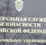 Сотрудники РУФСБ России по Архангельской области во взаимодействии с Мурманской таможней пресекли канал контрабанды леса. - КлубСМИ