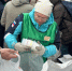 В Северодвинске прошла акция по приему пластика с маркировкой 5 РР. Мероприятие было приурочено ко Всемирному дню вторичной переработки. - Администрация г. Северодвинска