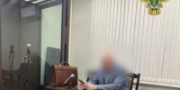 Вынесен приговор по уголовному делу  за  незаконную рубку леса - КлубСМИ