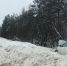 В Коряжме по вине пьяной автоледи пострадала 17-летняя девушка - КлубСМИ