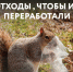 Медиабанк РЭО – в помощь экопросвещению. - Администрация г. Северодвинска