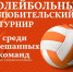 Северодвинцев приглашают поучаствовать в благотворительном волейбольном турнире. - Администрация г. Северодвинска