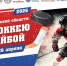 Кубок Архангельской области по хоккею с шайбой разыграют в Северодвинске. - Администрация г. Северодвинска